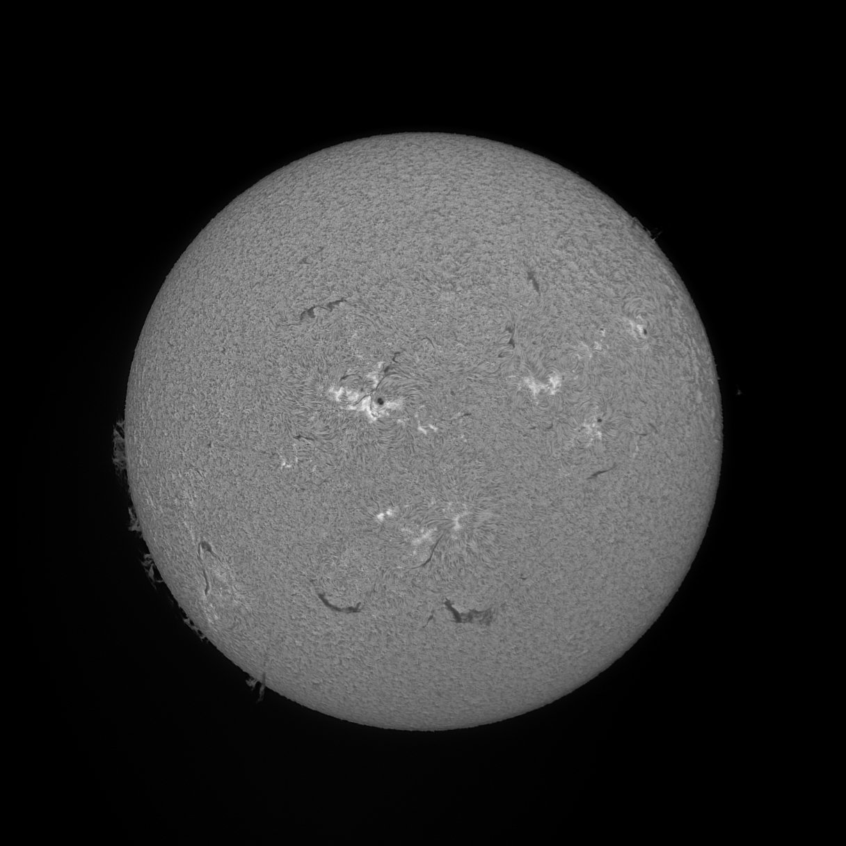 02-08-26-m.jpg