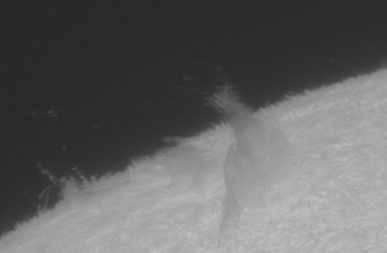 020931001785853309.gif