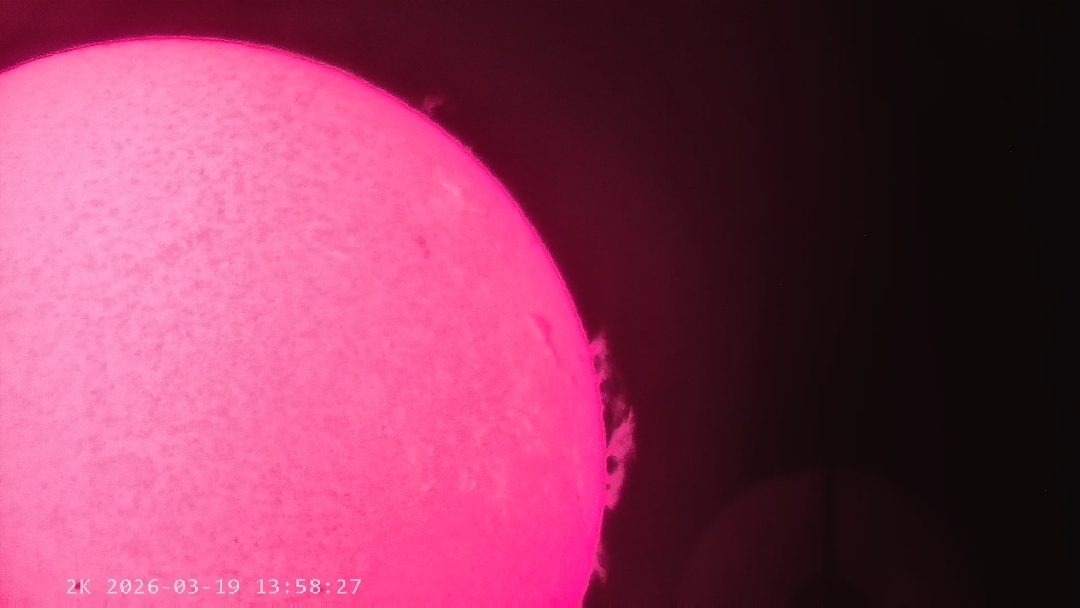 02_1000015344.jpg