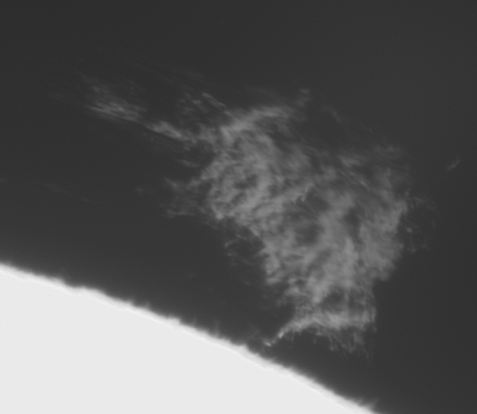 048088001782588559.gif