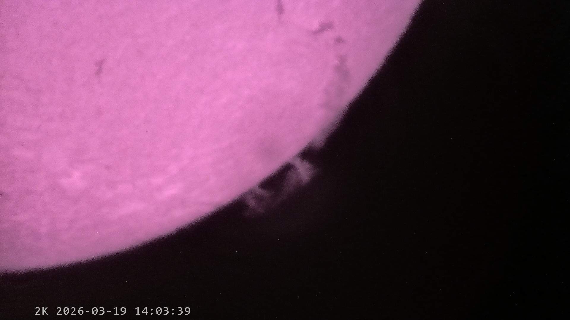 04_1000015346.jpg