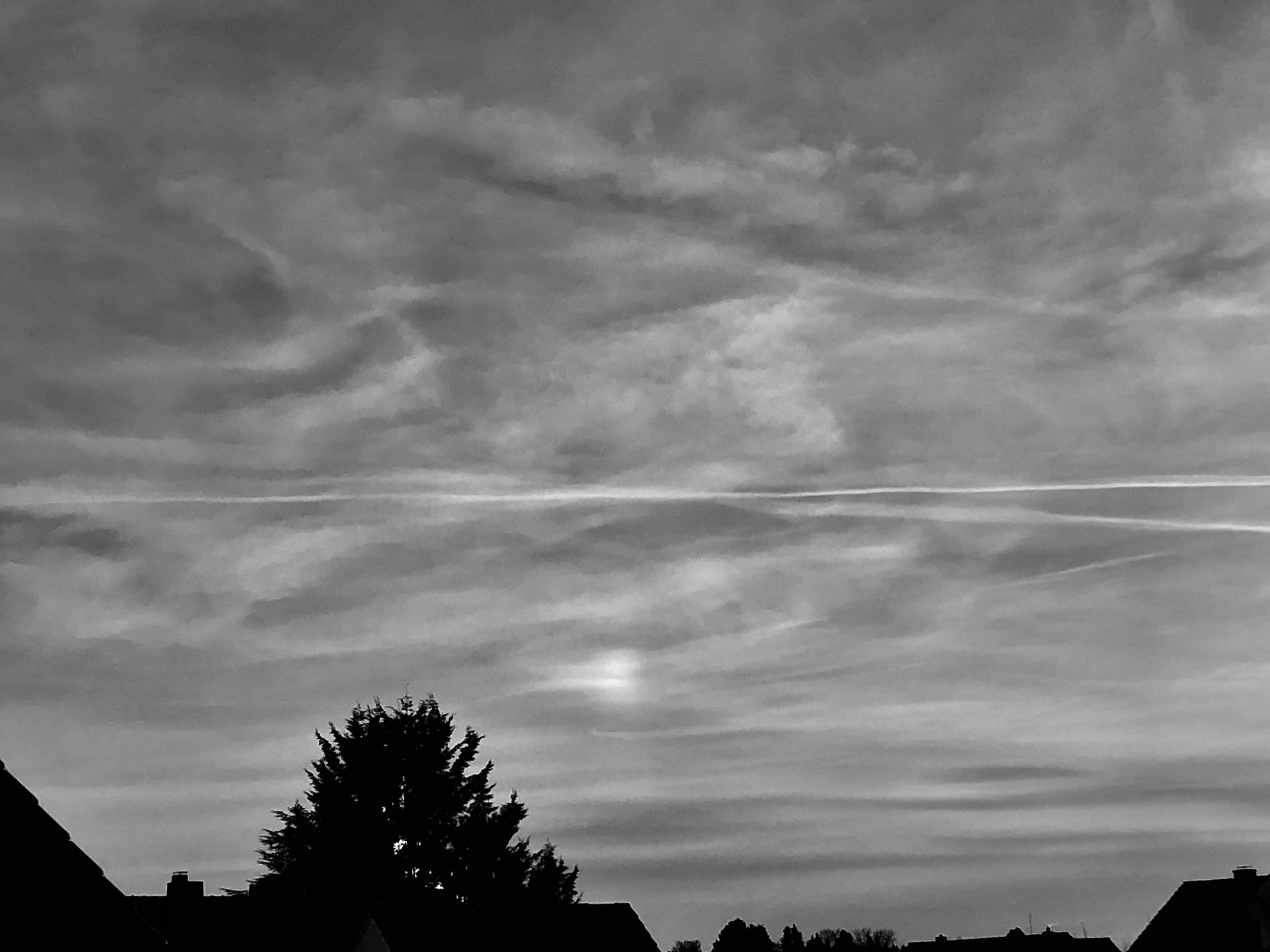 065D902F-3A1B-4CB9-B7A0-06308A3BF79C.jpeg