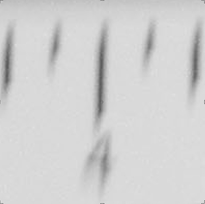 106303