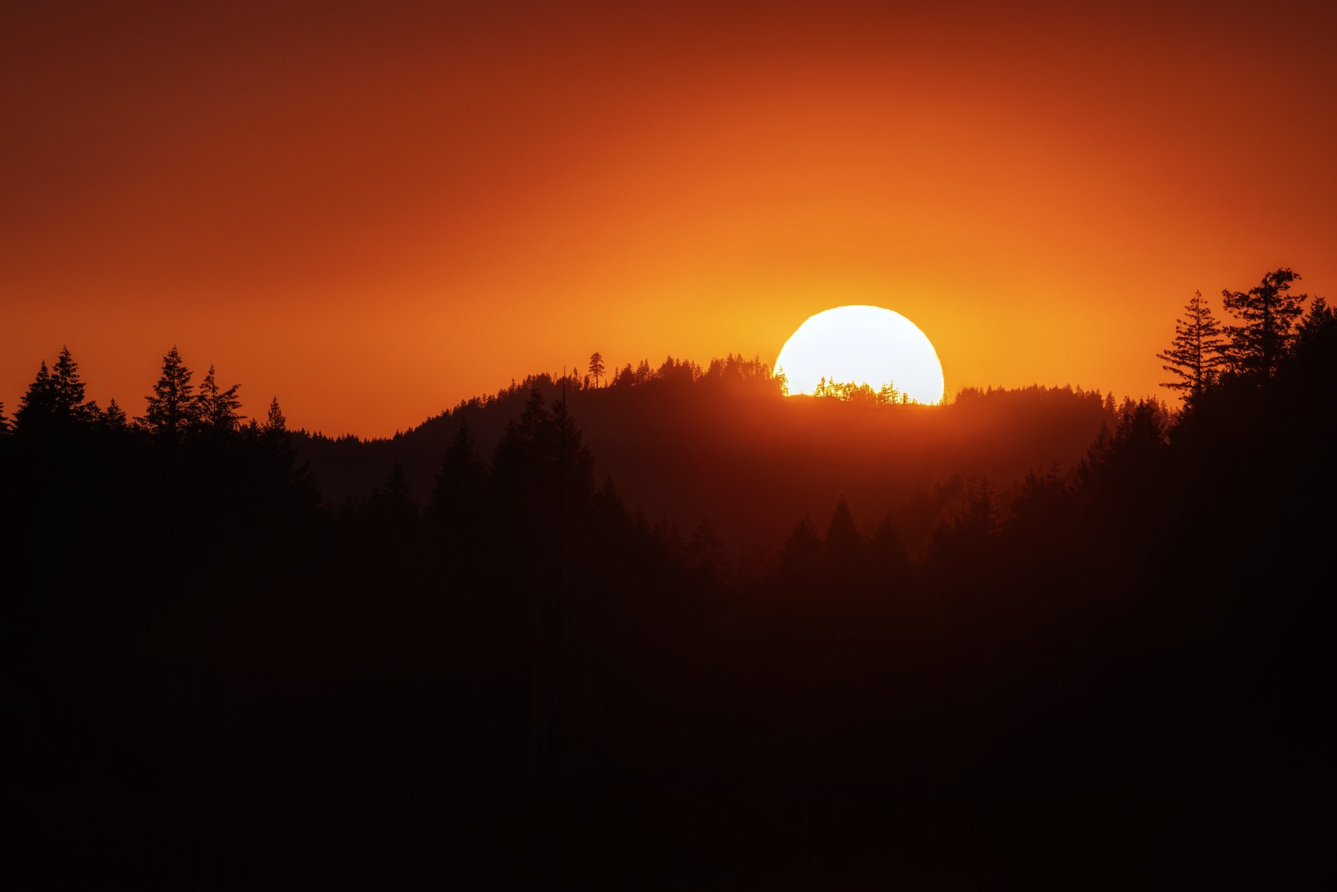 0D0A7808-HDR-Bearbeitet_klein.jpg