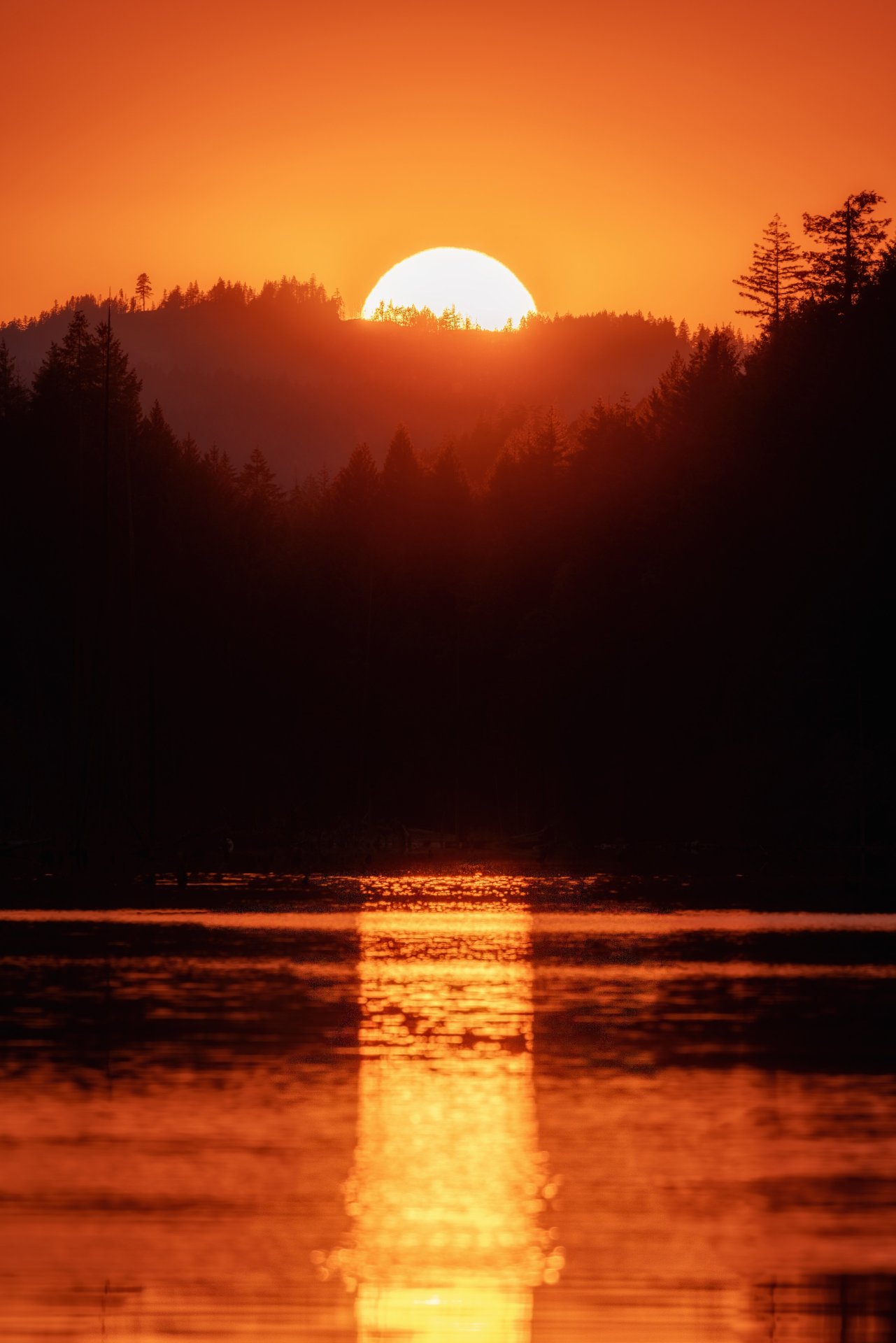 0D0A7809-HDR-Bearbeitet_klein.jpg