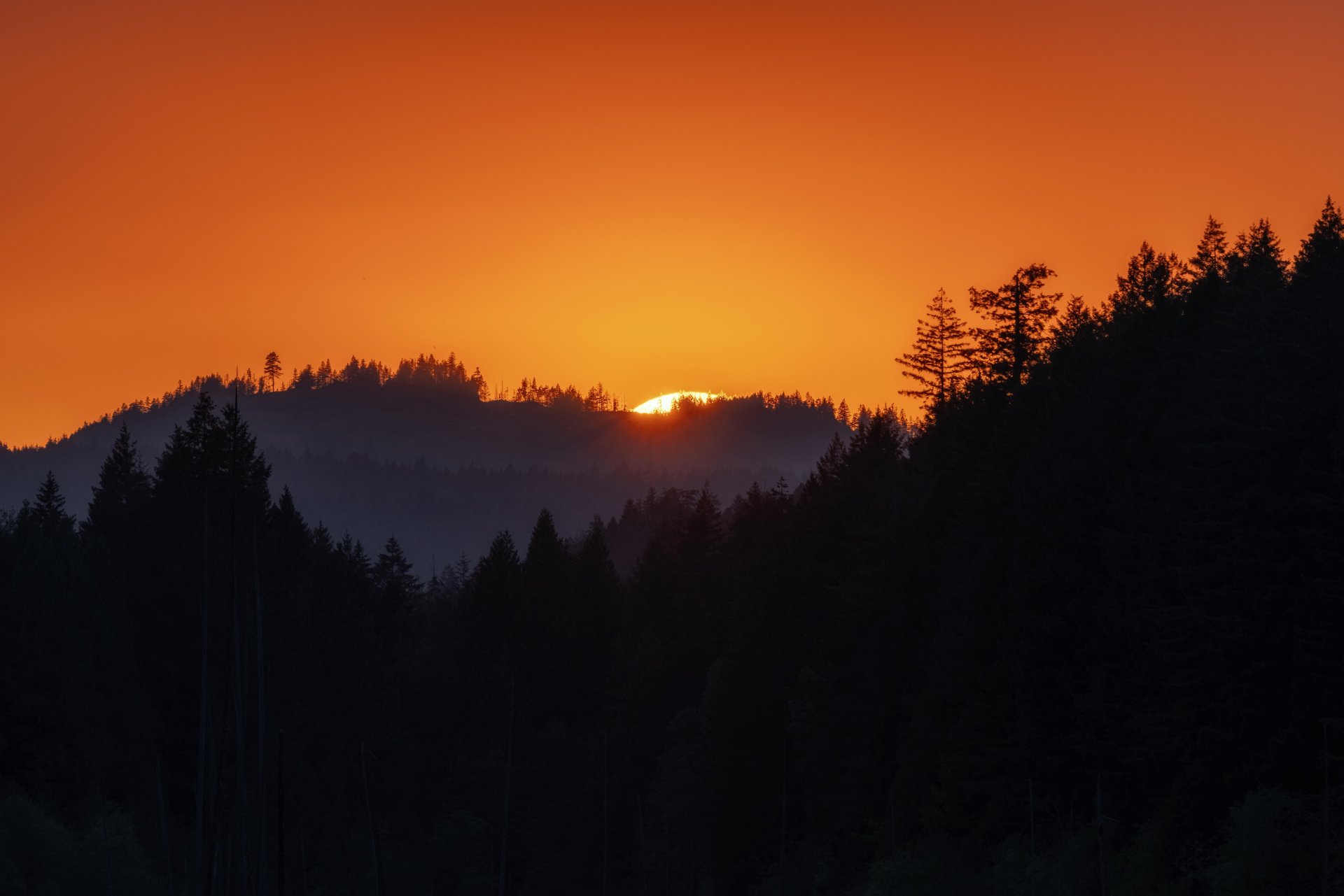 0D0A7834-HDR-Bearbeitet_klein.jpg