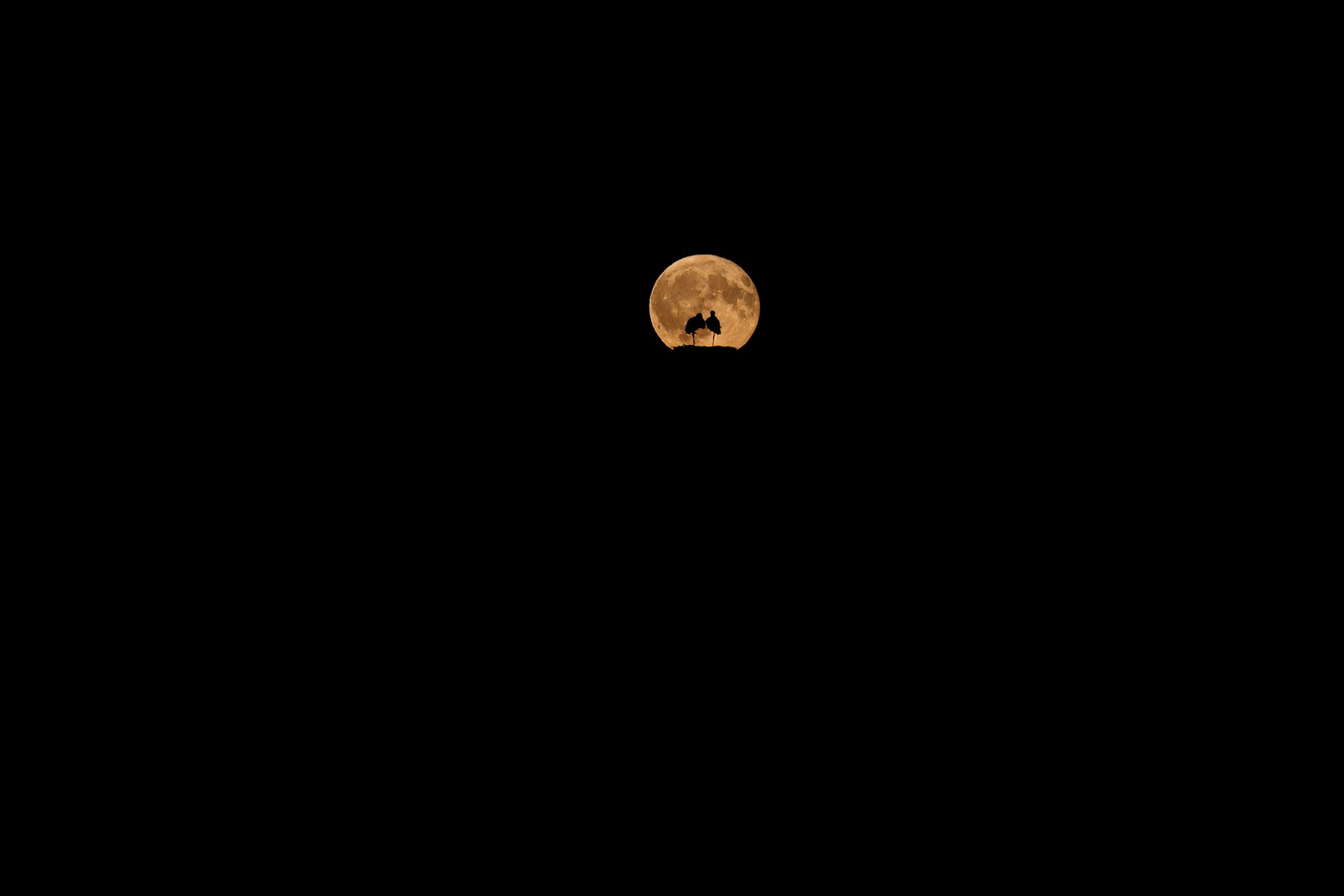 0Q0A1673_1.JPG