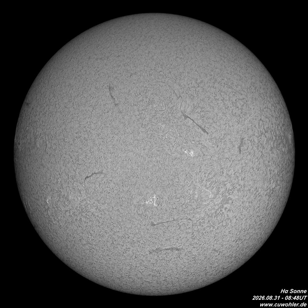 1 - 20260831 - 0848UT.jpg