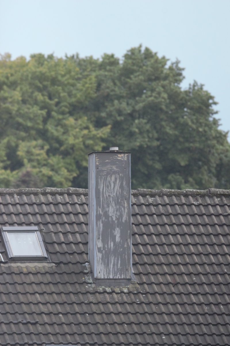 1-4000 ISO 1600 no Liveview.jpg