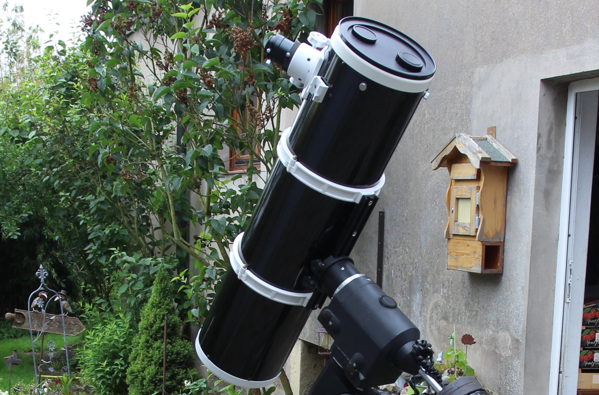 1-Newton 20-1000.JPG