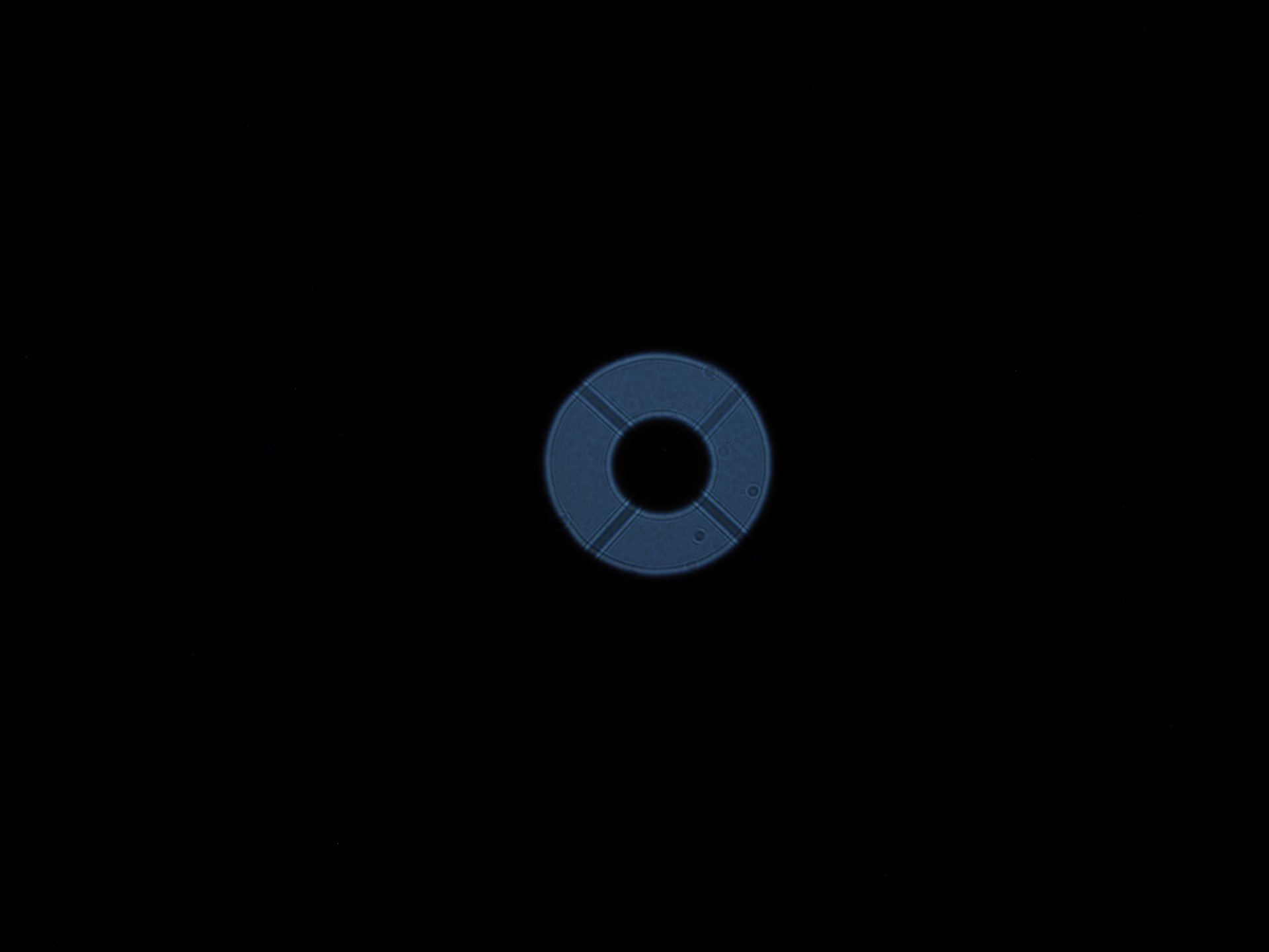 1000004500.jpg