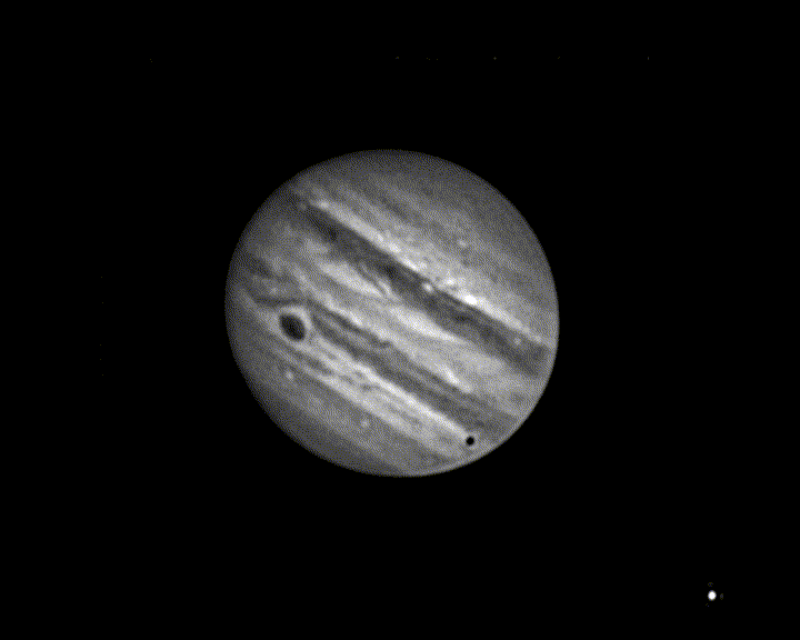 1000026821.gif