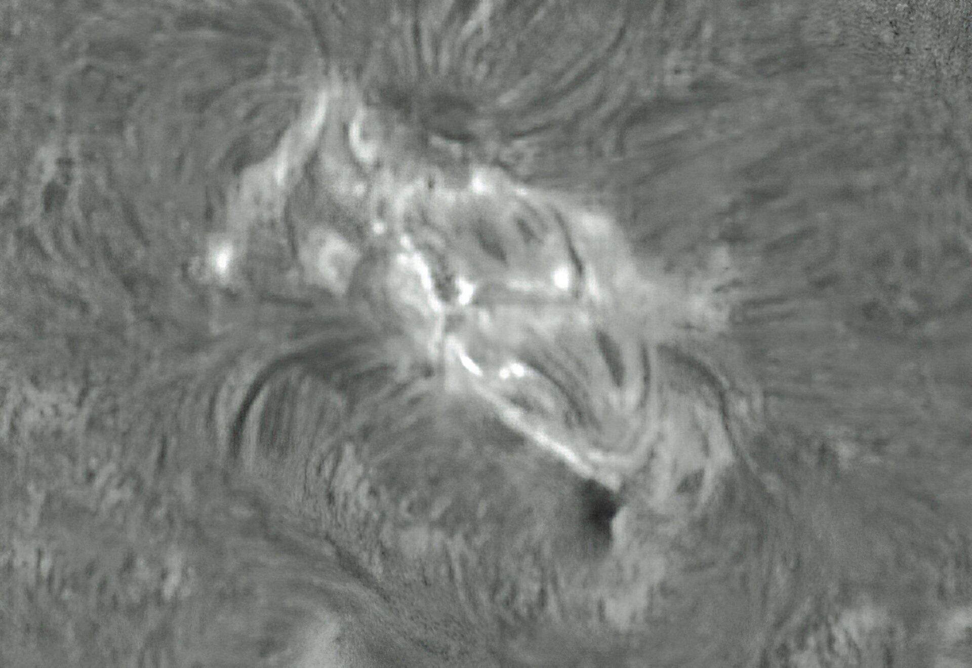 1000027443.jpg