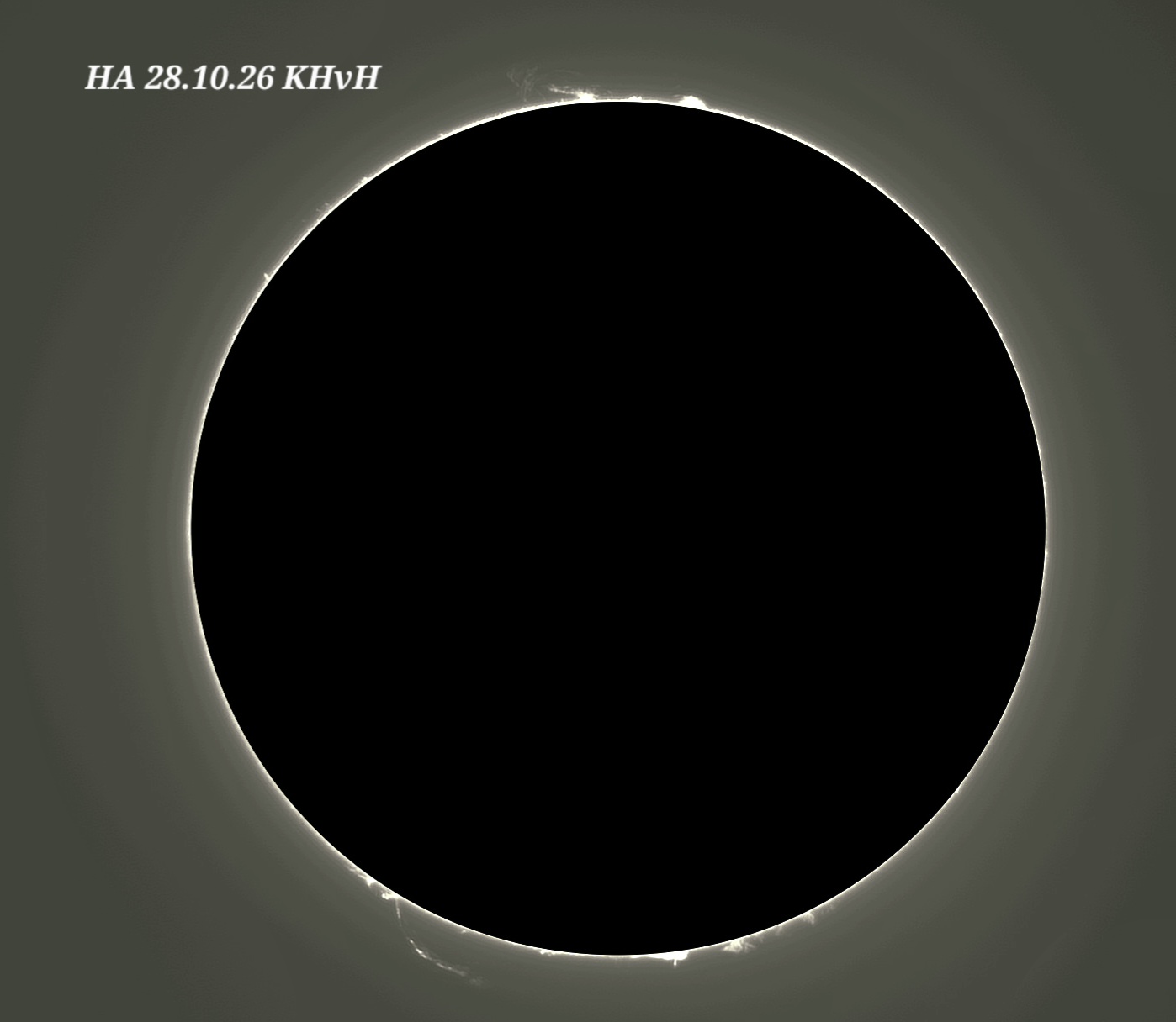 1000037482.jpg