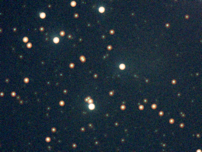 1000037563.jpg