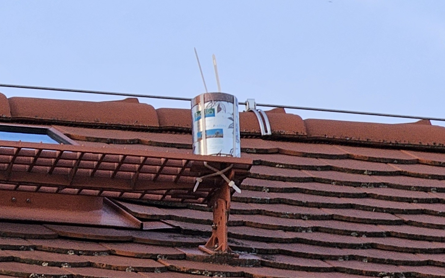 1000043799.jpg