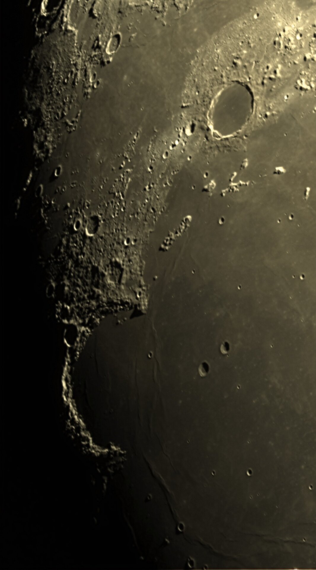 1000096699.jpg