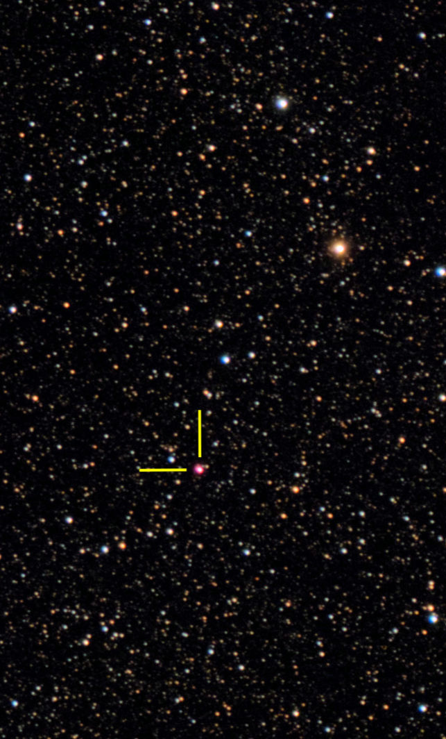 1000098101.jpg