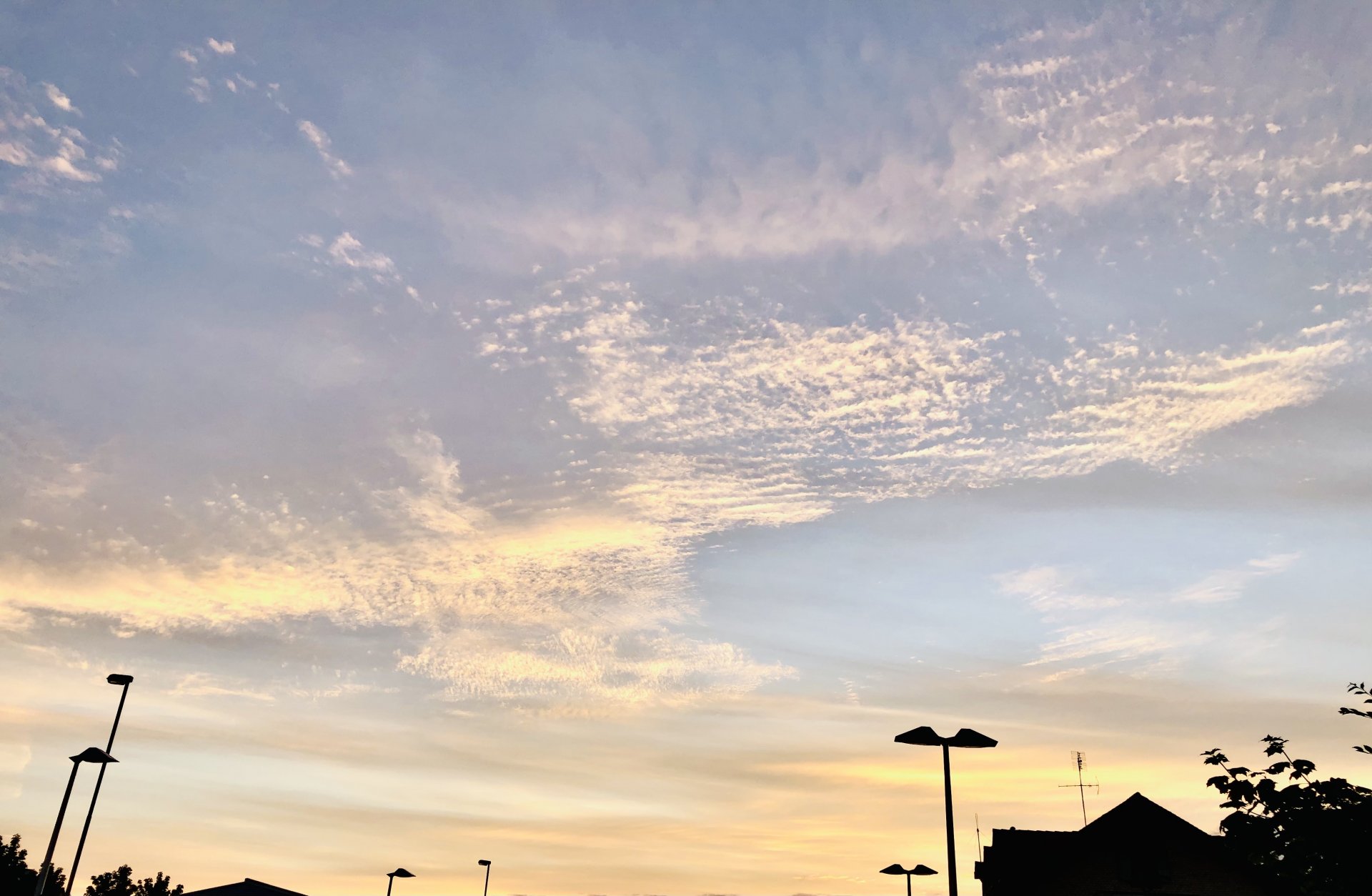 103982F1-6CBE-4B12-A18D-04685A70D8DF.jpeg