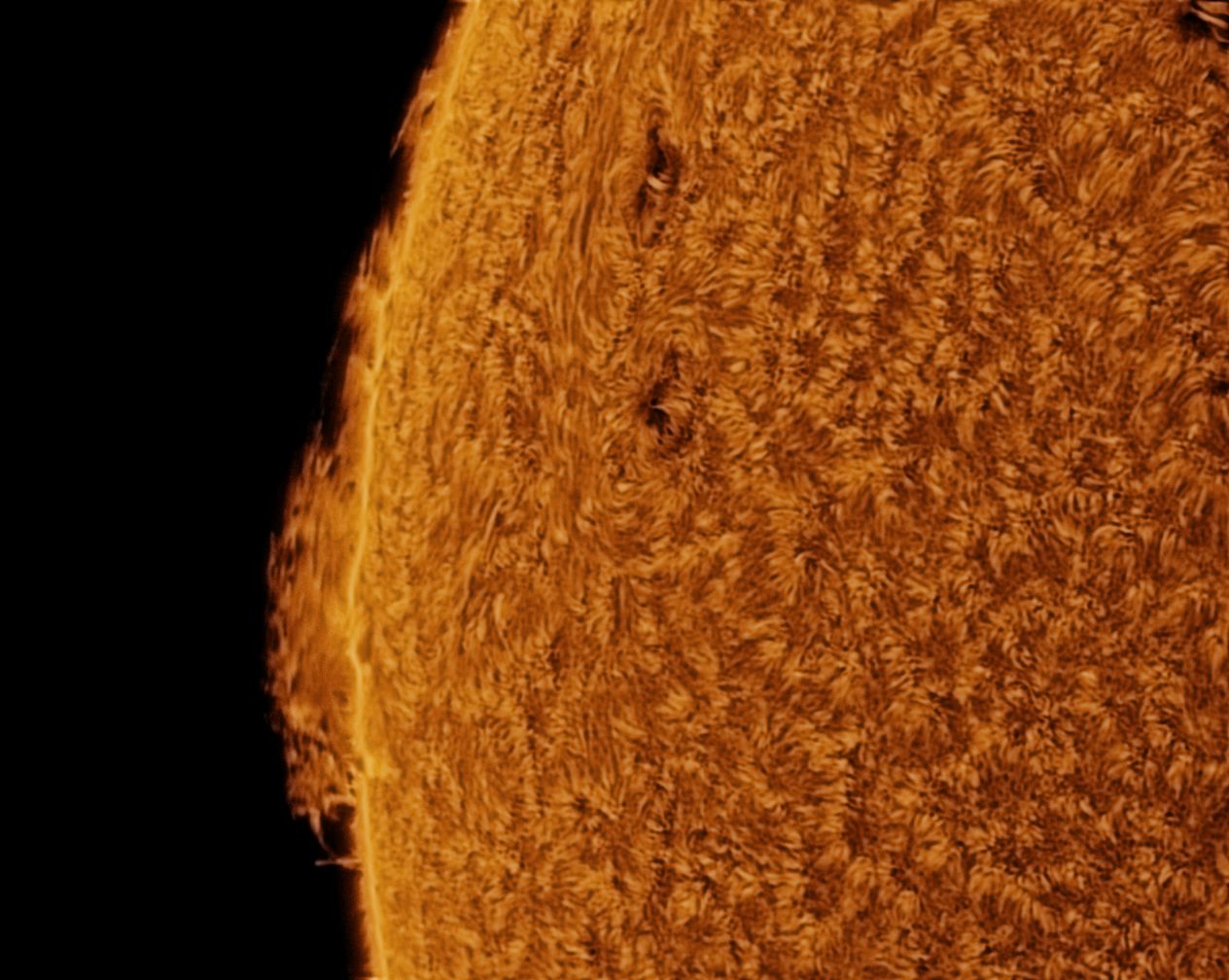 10_25_25_lapl3_ap1606.jpg