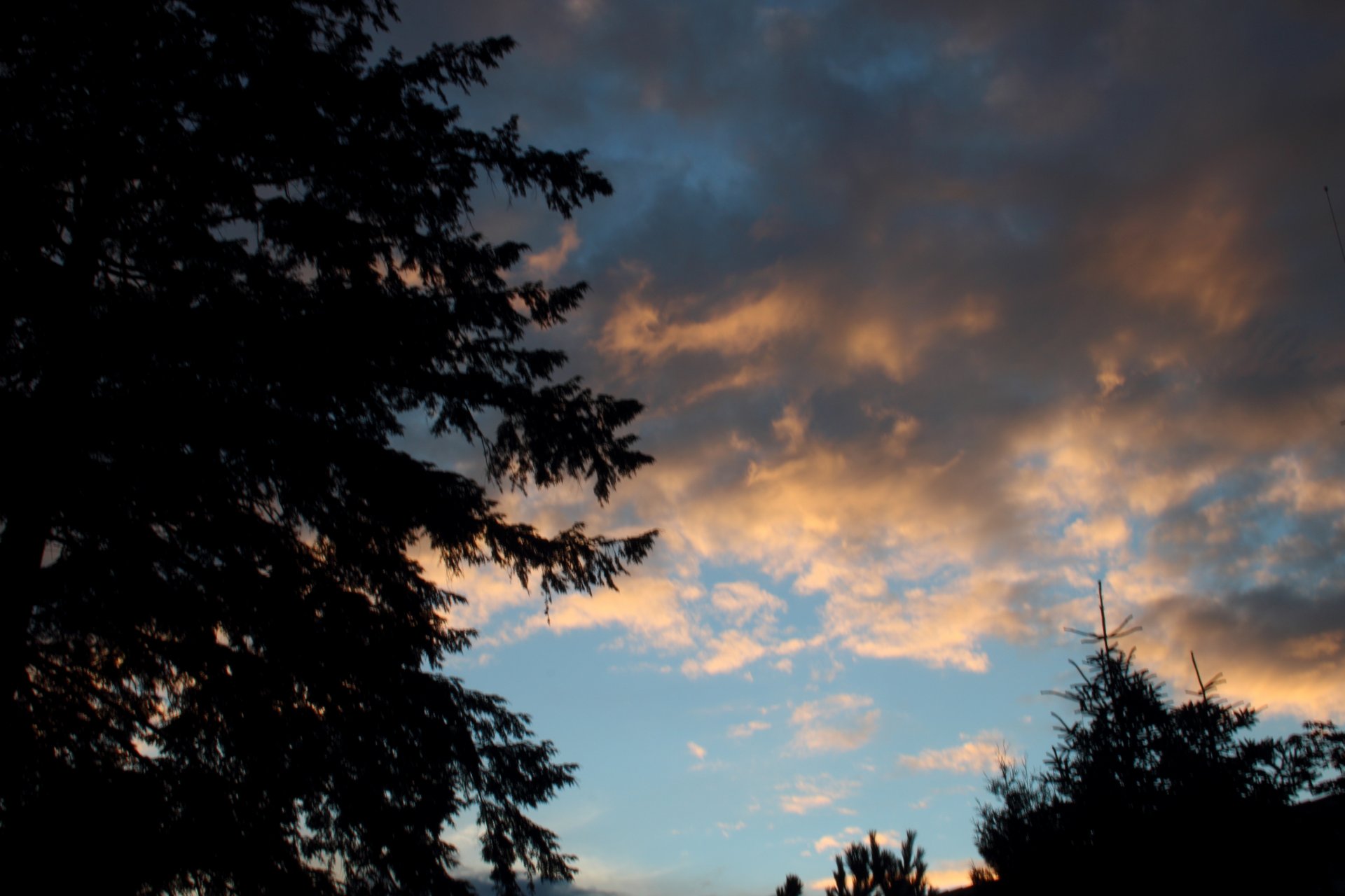 12072021_Home_2.JPG