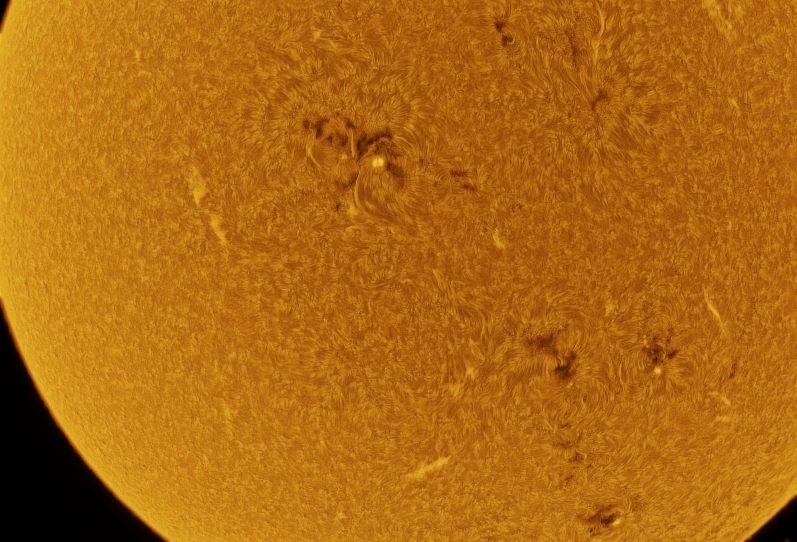 12_51_02_lapl2_ap7109.jpg
