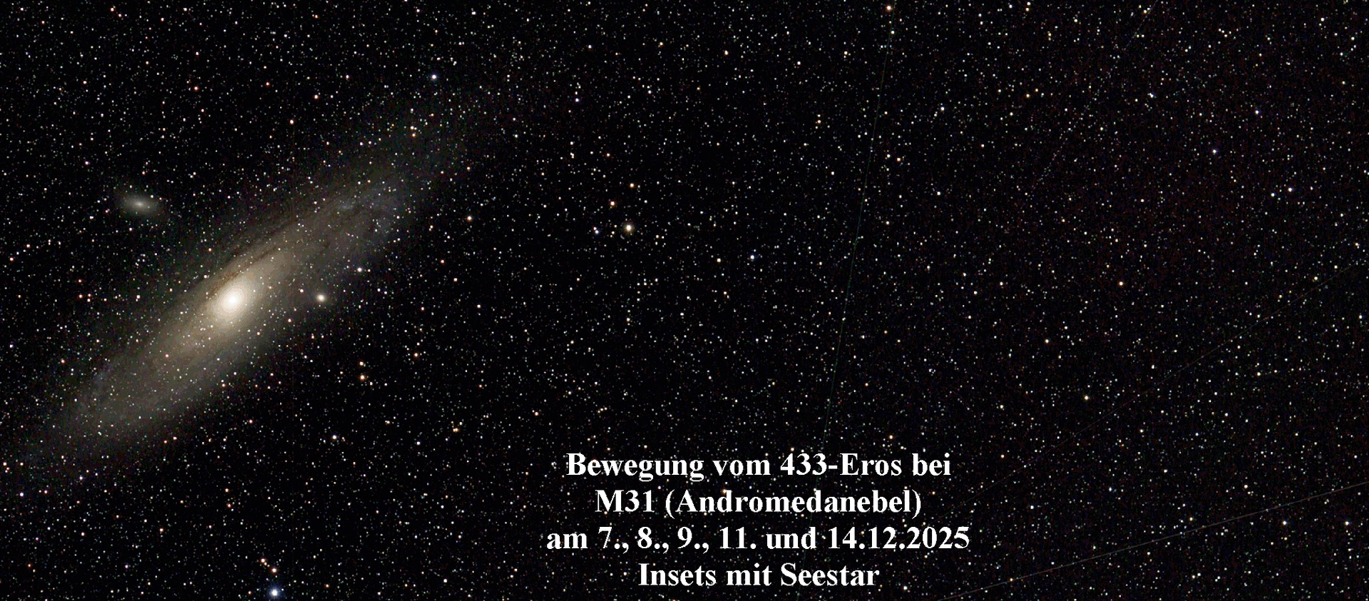 12ero2026anni1d.gif