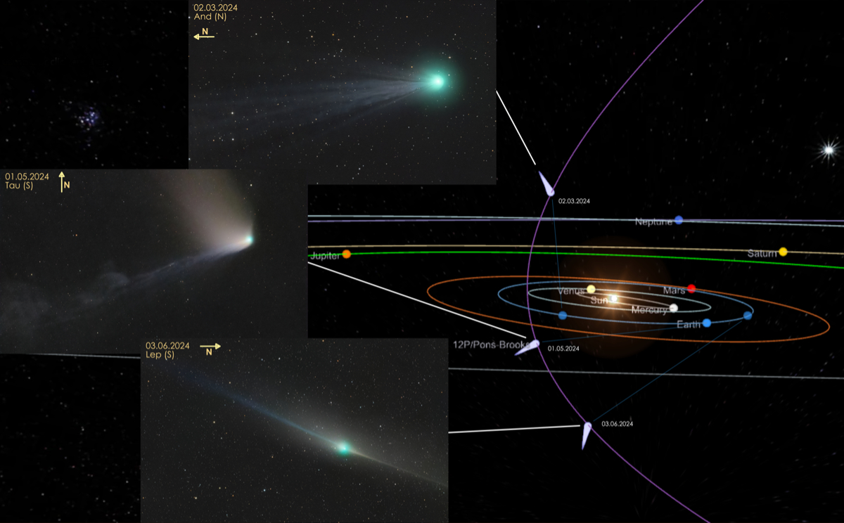 12P_Pons-Brooks_2024CollectionOrbit.jpg