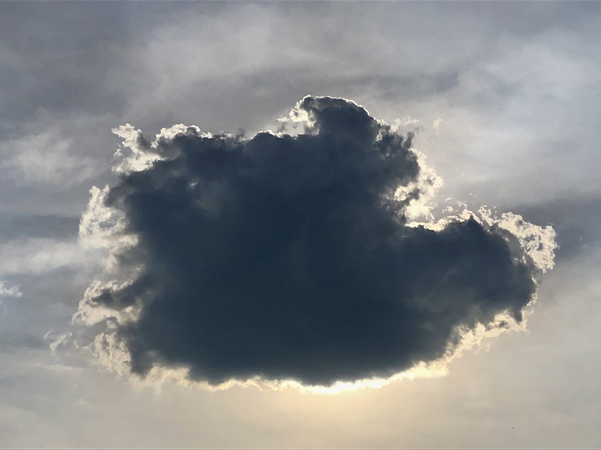 1425C489-5DE8-47C9-8AE7-D2C26163C54B.jpeg
