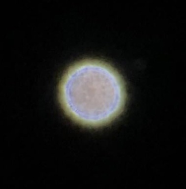 145670933_4984344251638065_7664483465614691396_n.jpg