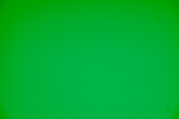 1578162779735.png
