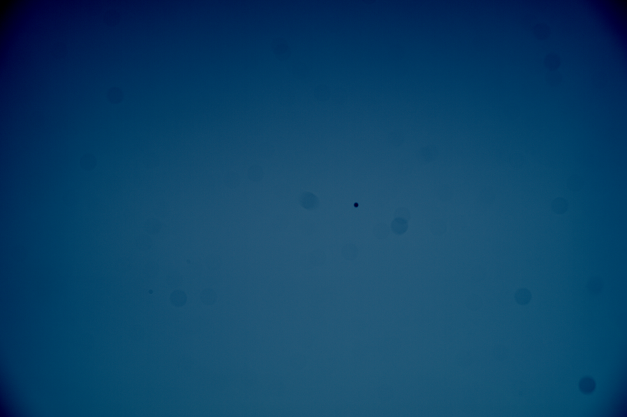 1578163858872.png