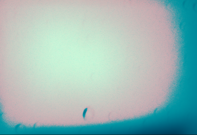 1584978201739.png