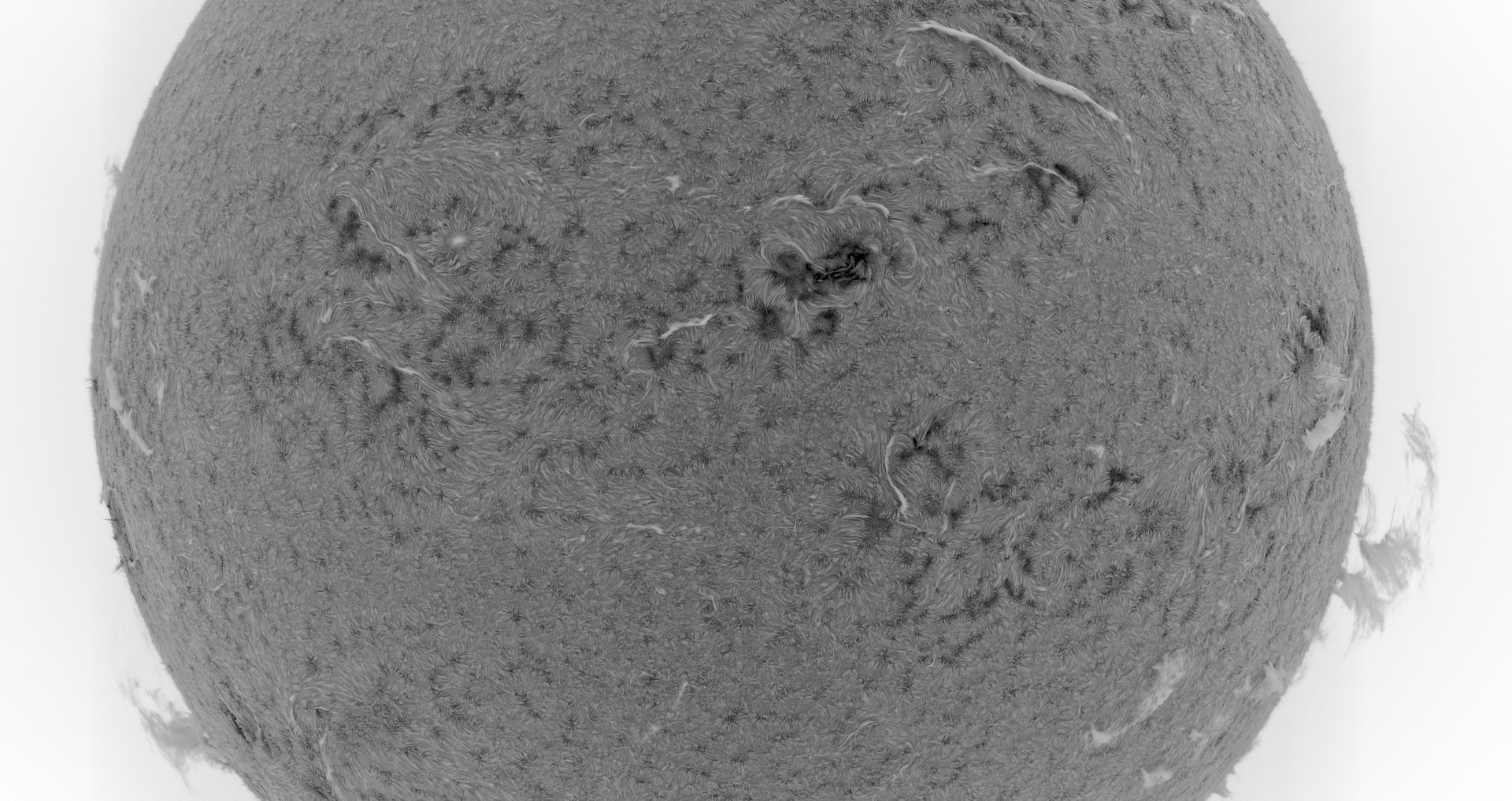 160923-Ha-1-106mm-stack12-invert.jpg