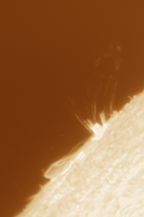 161373001784048305.gif
