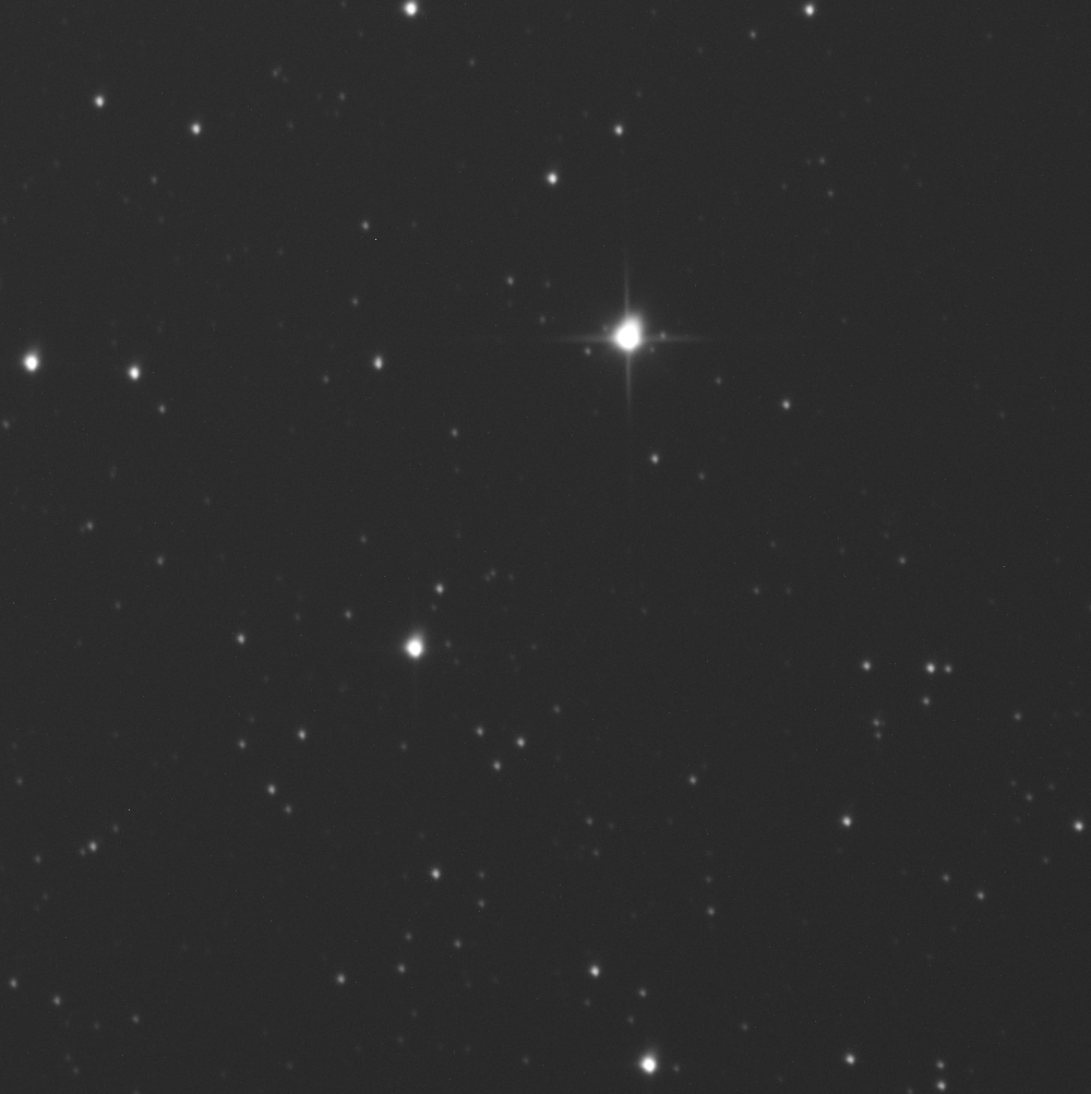 1617565419658.png