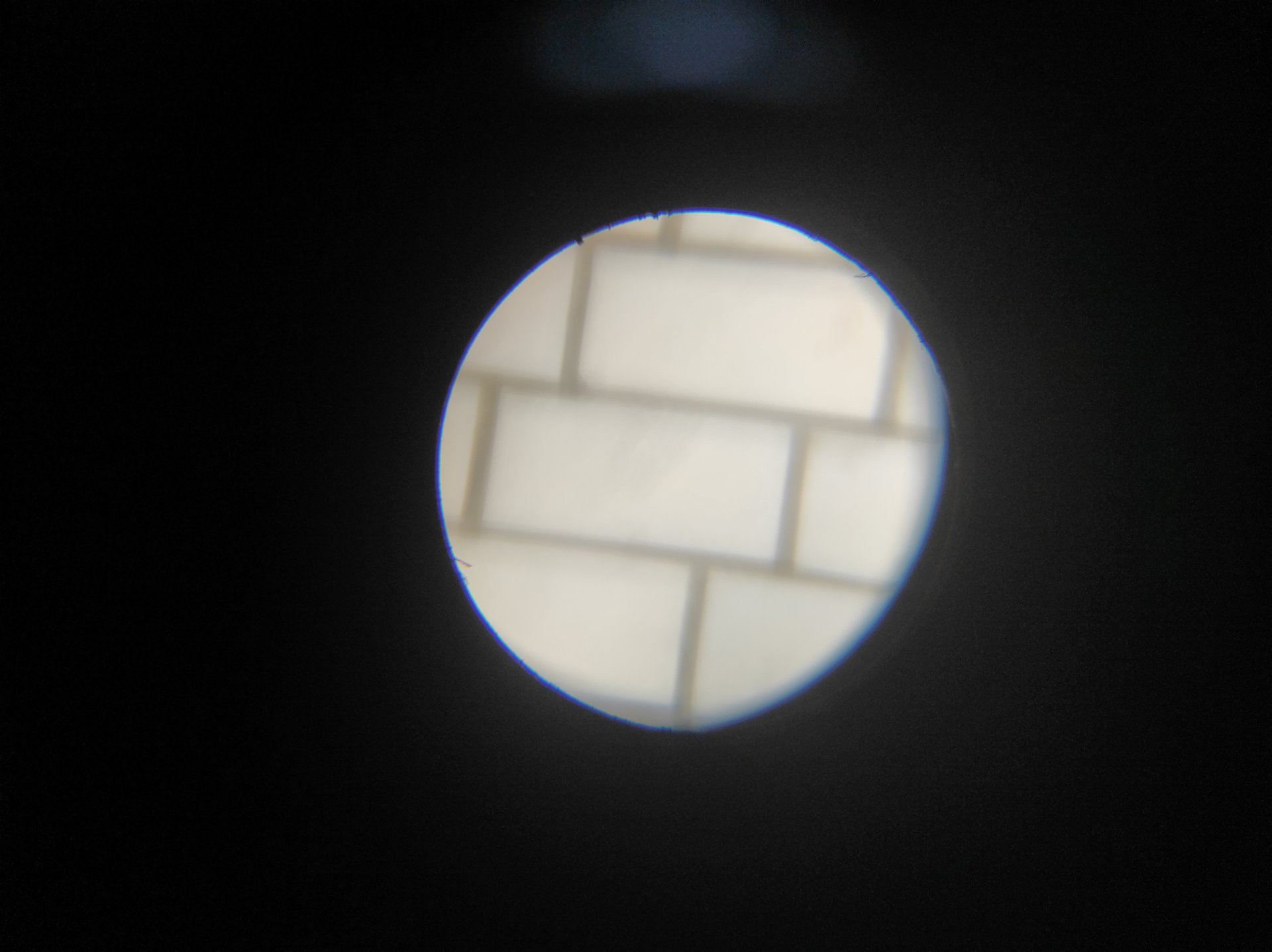 1619640343862.jpg