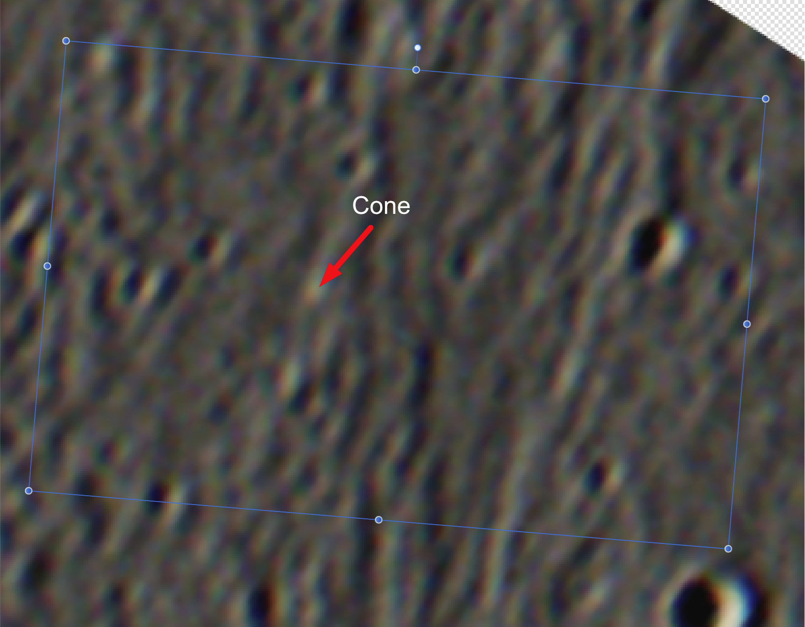 1636197210418.png