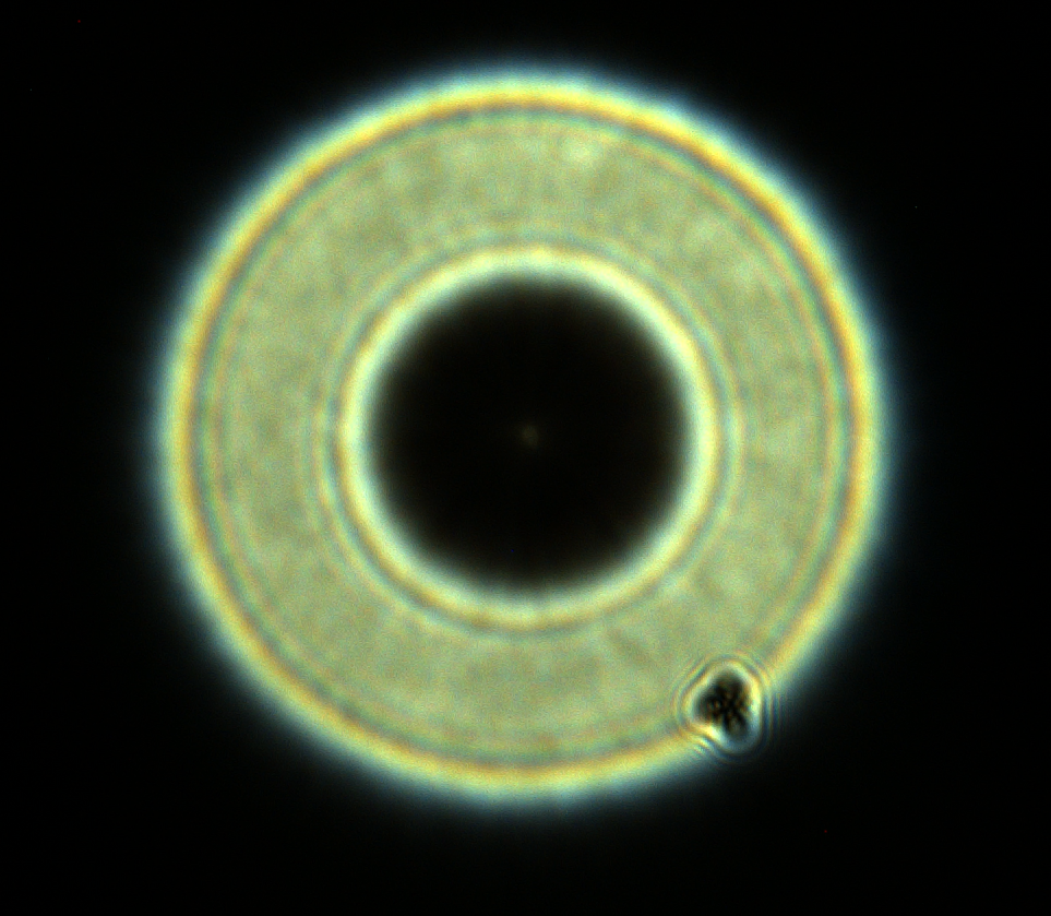 1642682443872.png
