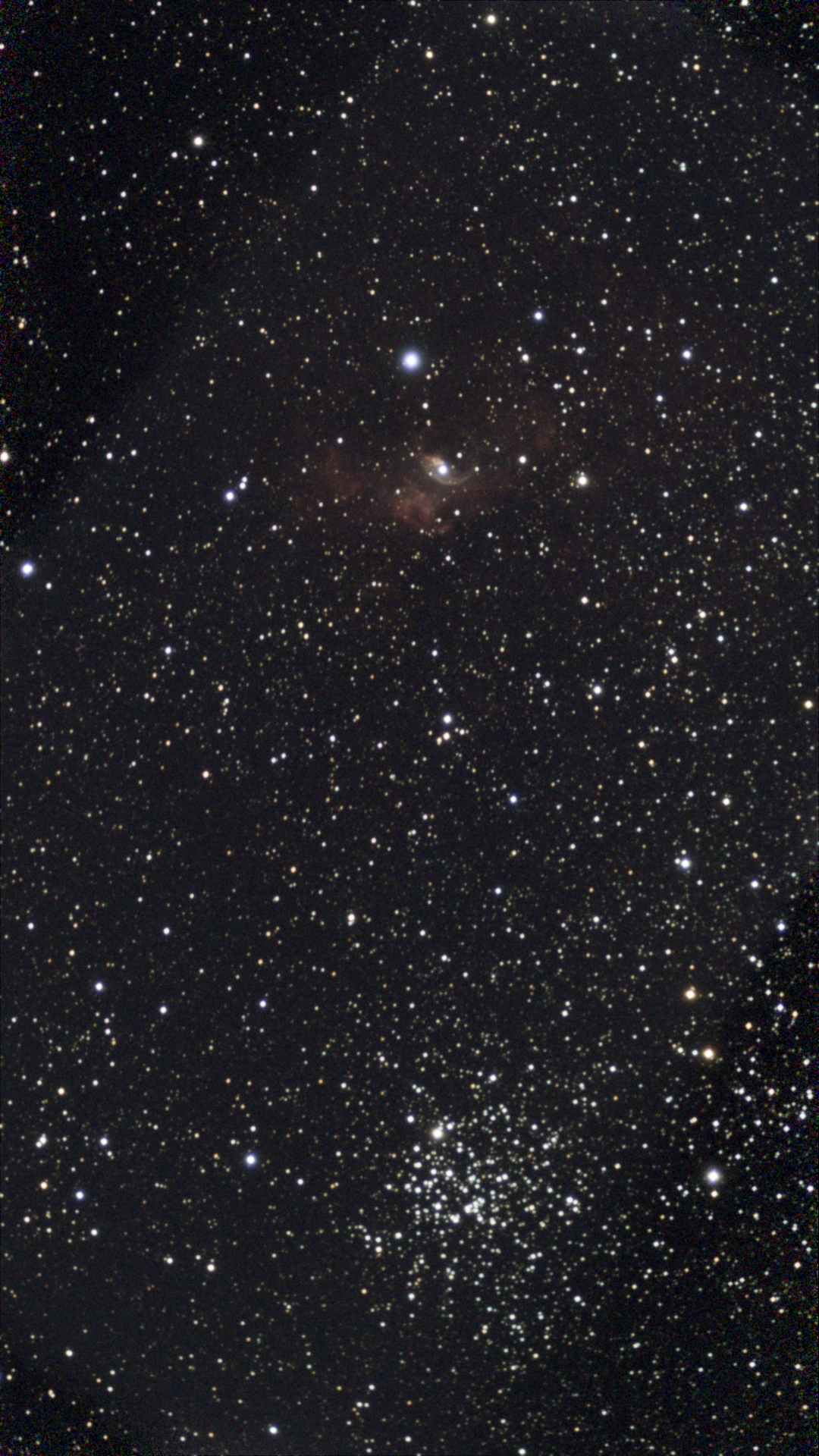 1699643158610.jpg