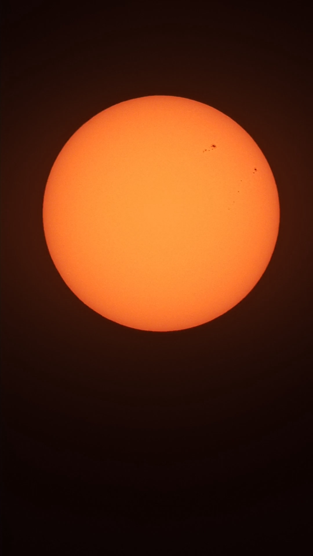 1699693332896.jpg