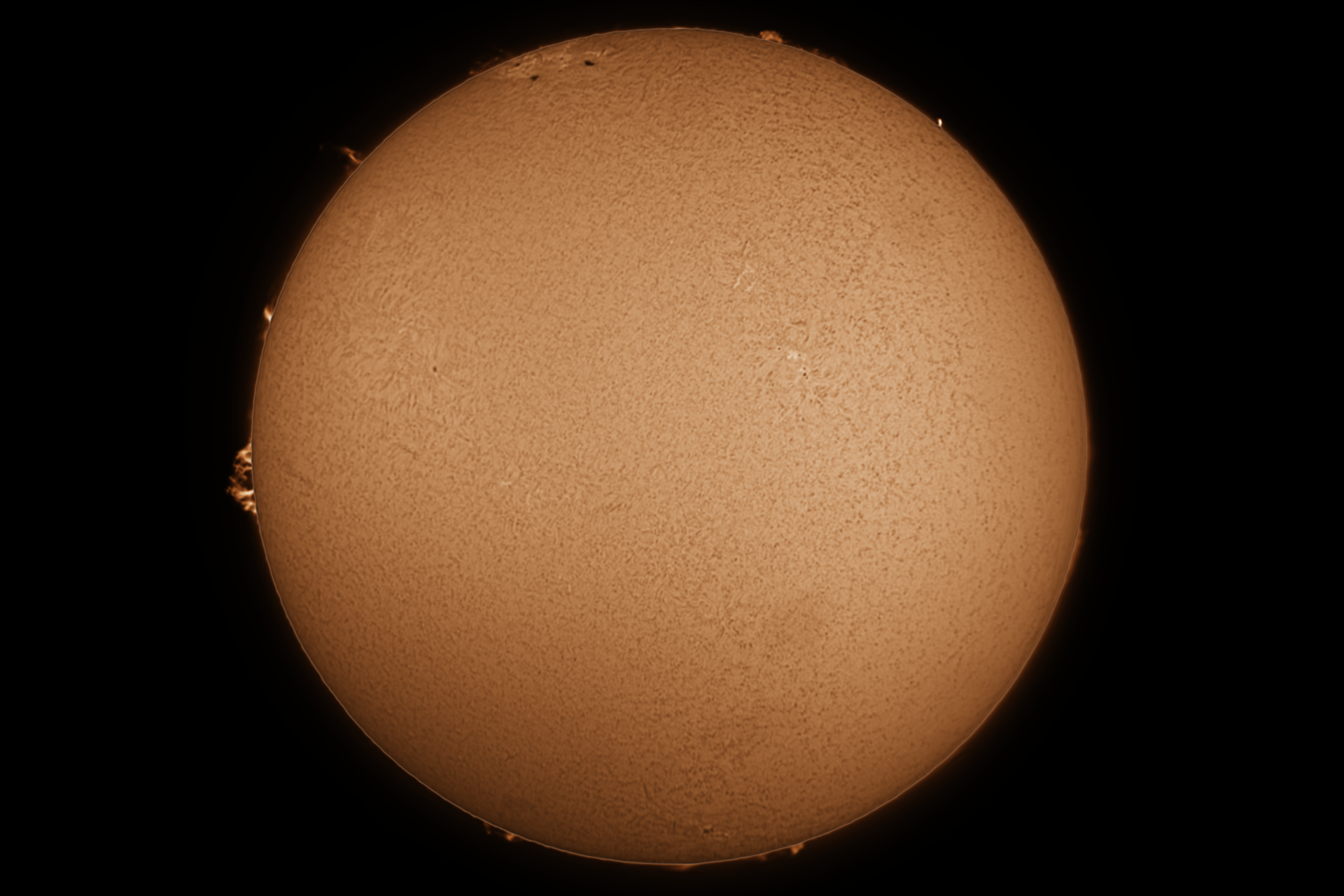 17.04.22_Ha_Sun_V1.png
