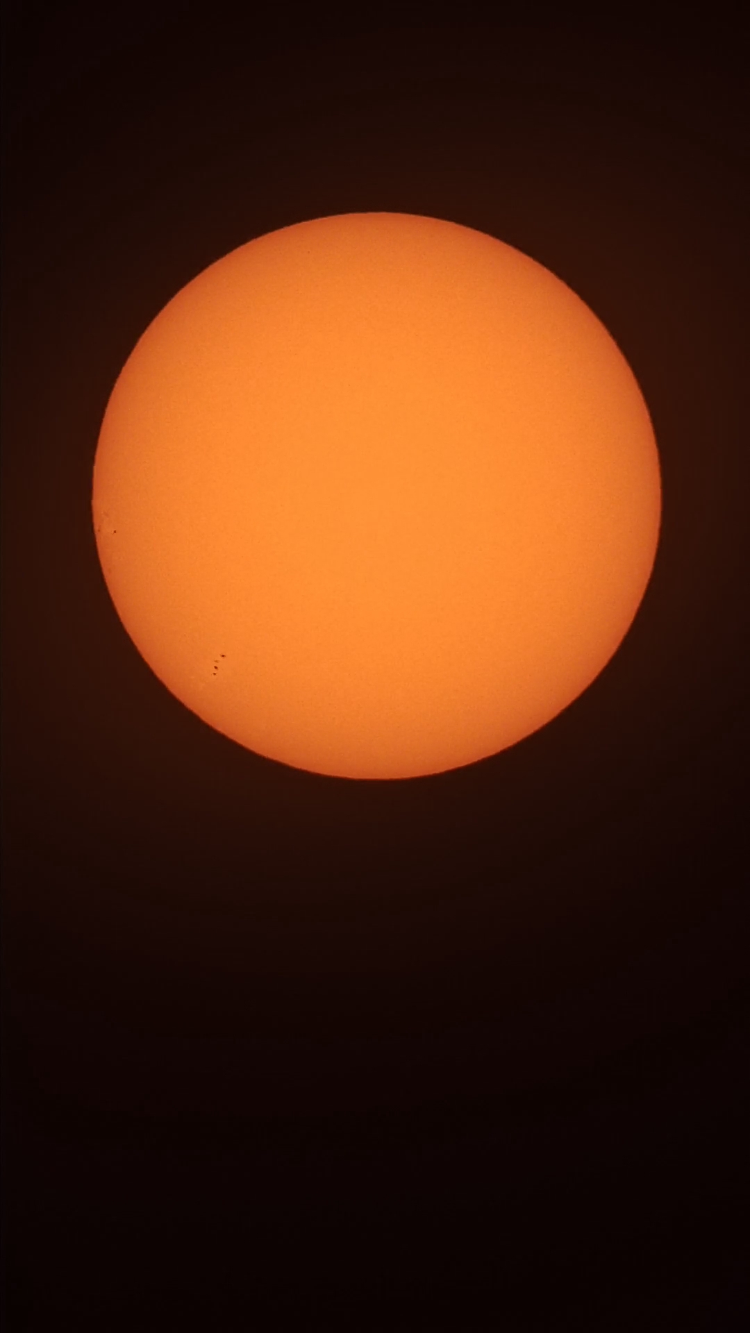 1700390576592.jpg