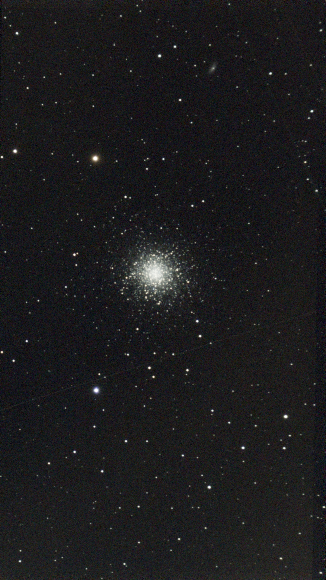 1700414894332.jpg