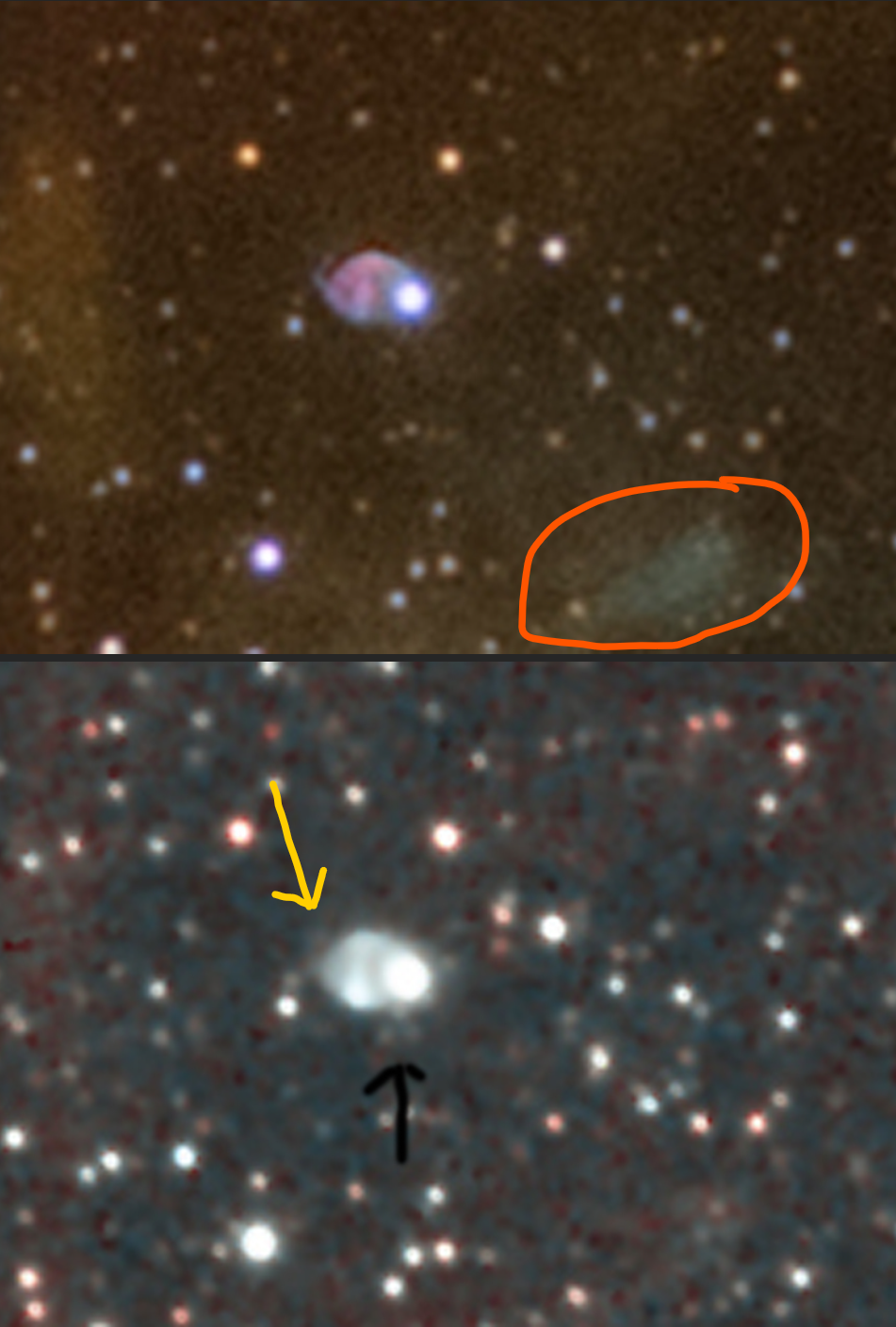 1701195334141.png