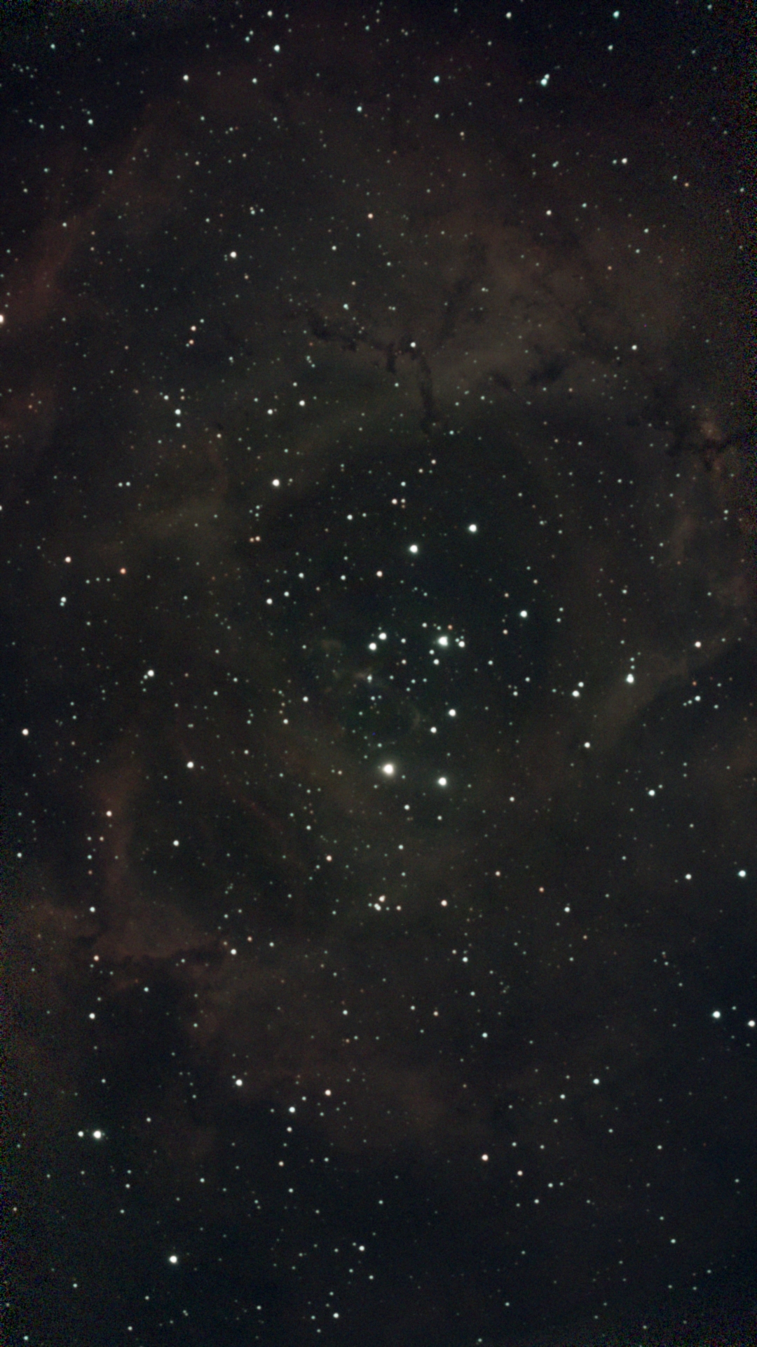 1701669935656.jpg