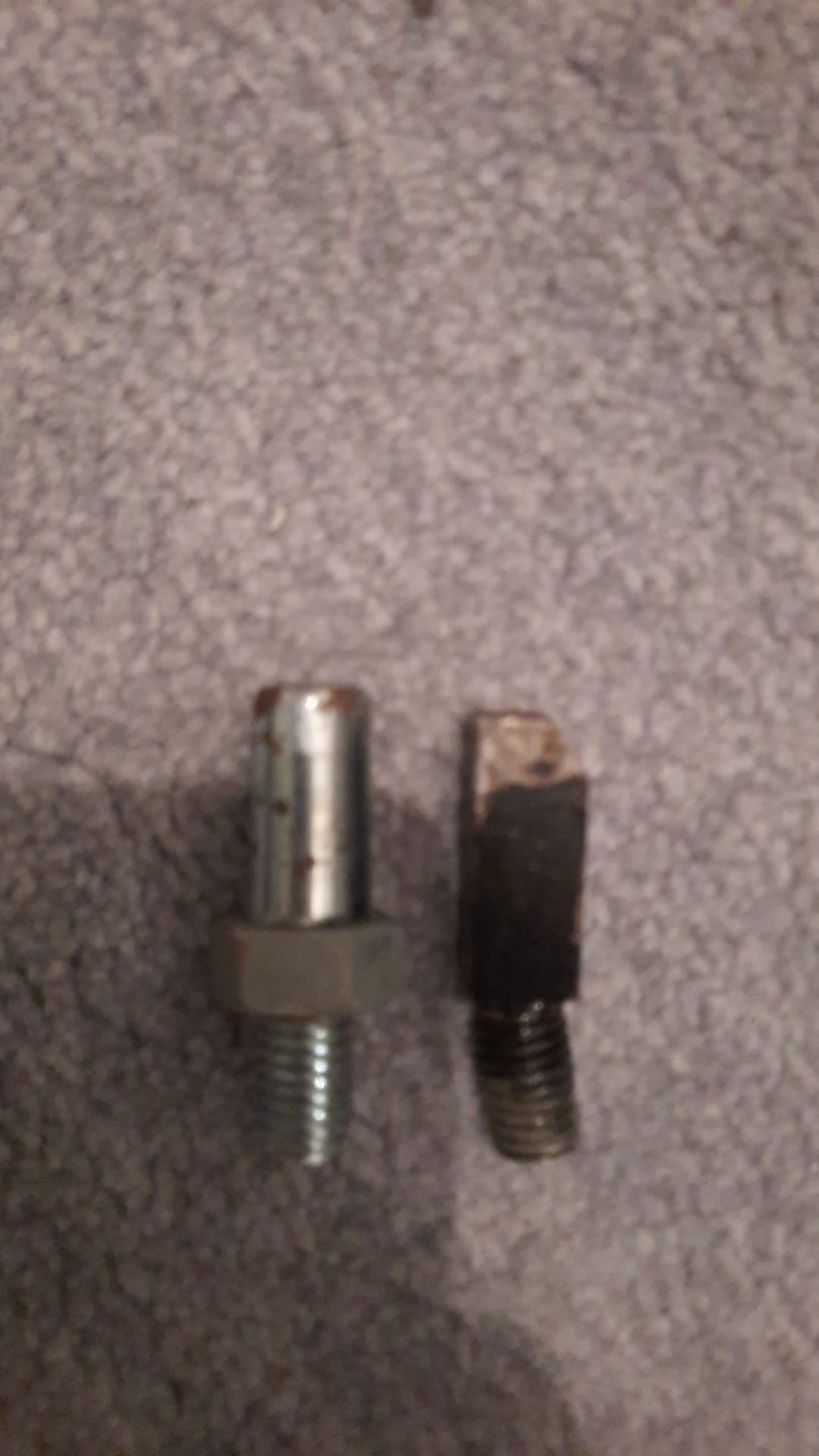 1704315905226.jpeg