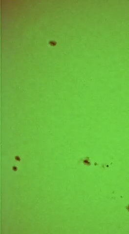 1719316283969.jpg