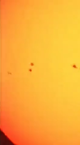 1719316304056.jpg