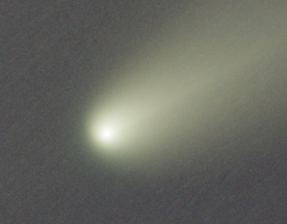 1730833642154.png